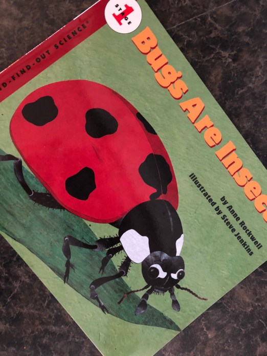 F85B3EDD-F501-4F02-8CEA-4CC2DB23A75B